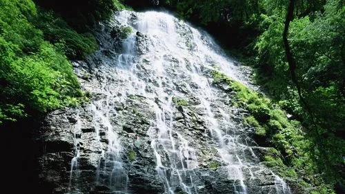 高精度智能智能